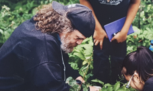 Picture of Stéphane McLachlan 